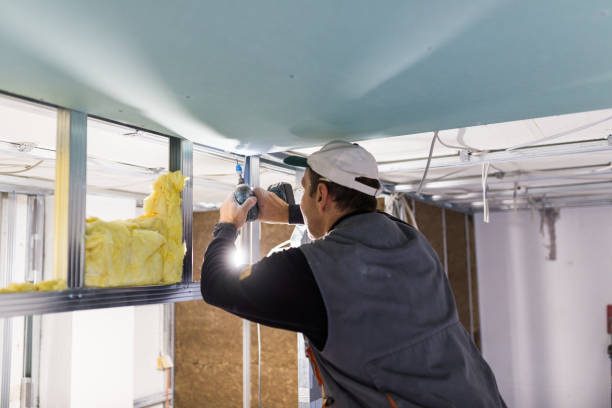 Best Insulation Installation Services in Perry, FL