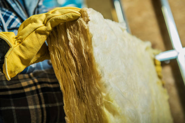 Best Insulation Maintenance and Repair in Perry, FL